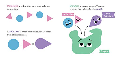 Baby Biochemist: Enzymes (Baby University) by Florance, Cara