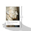 The Dawn of the Roman Empire: Books Thirty-One to Forty (Oxford World's Classics)