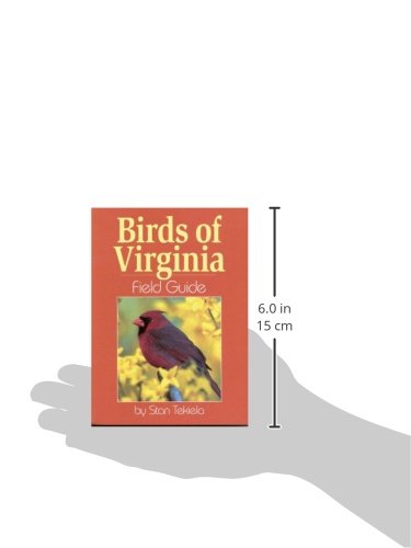 Birds of Virginia Field Guide