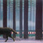 The Polar Express: A Christmas Holiday Book for Kids