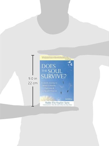 Does the Soul Survive? (2nd Edition): A Jewish Journey to Belief in Afterlife, Past Lives & Living with Purpose
