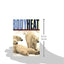 Body Heat: Temperature and Life on Earth