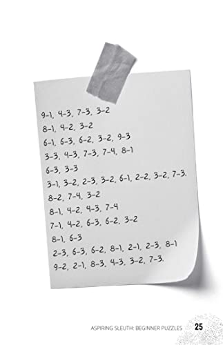 Hunt A Killer: The Detective's Puzzle Book: True-Crime-Inspired Ciphers, Codes, and Brain Games