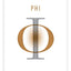 Phi: A Voyage from the Brain to the Soul
