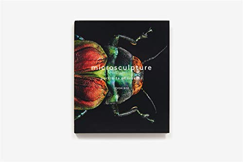 Microsculpture: Portraits of Insects
