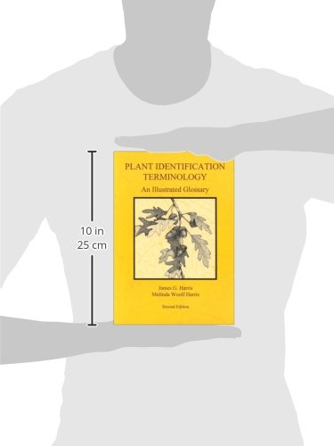 Plant Identification Terminology: An Illustrated Glossary