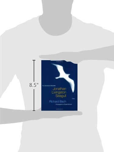 Jonathan Livingston Seagull