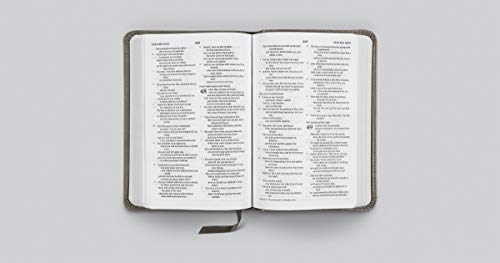 ESV Compact Bible (TruTone, Silver, Sword Design)