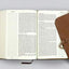 ESV Single Column Journaling Bible, Large Print (Brown, Flap with Strap)