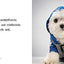 Norbert's Little Lessons for a Big Life