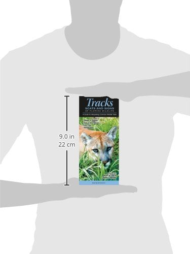 Tracks, Scats & Signs of Florida Wildlife: A Guide to Interpreting Common Wildlife Trails (Quick Reference Guides)