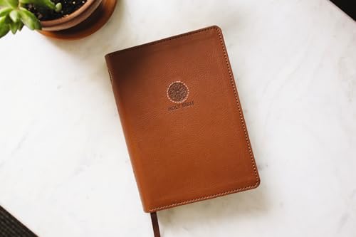 NRSVue, Holy Bible with Apocrypha, Compact, Leathersoft, Brown, Comfort Print