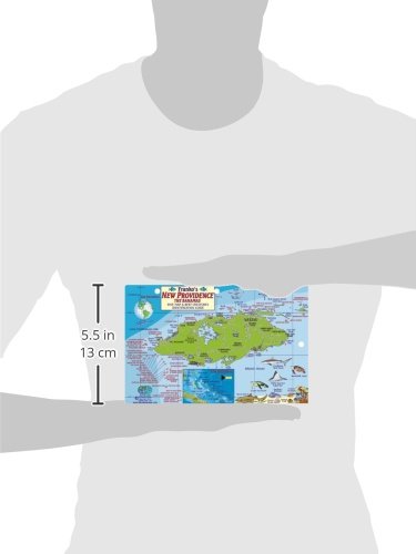New Providence Bahamas Dive Map & Reef Creatures Guide Franko Maps Laminated Fish Card