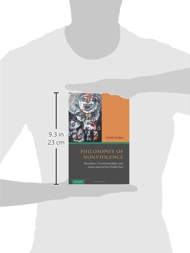 Philosophy of Nonviolence: Revolution, Constitutionalism, and Justice beyond the Middle East