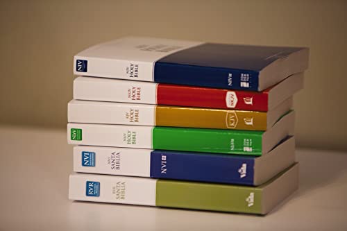 NIrV, Economy Bible, Paperback: Easy to read. Easy to share.