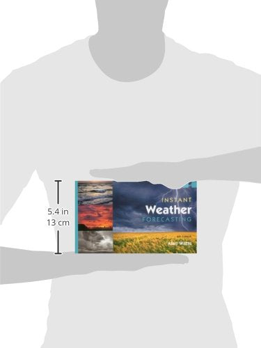 Instant Weather Forecasting