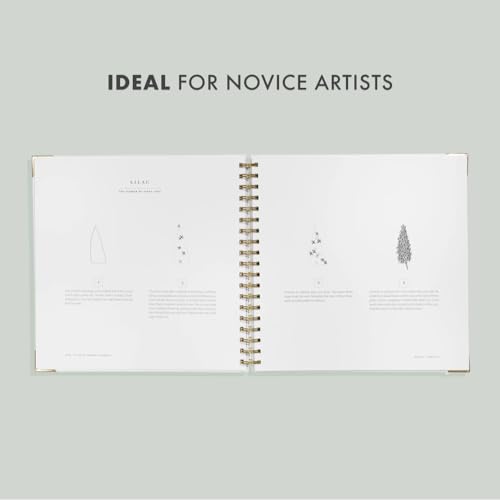 How To Draw Modern Florals: An Introduction To The Art of Flowers, Cacti, and More