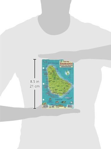 Barbados Dive Map & Reef Creatures Waterproof Fish Card
