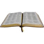 Biblia Trilíngue Portugus English Espaol NAA ESV RVC Marrón Símil Piel (English and Spanish Edition)