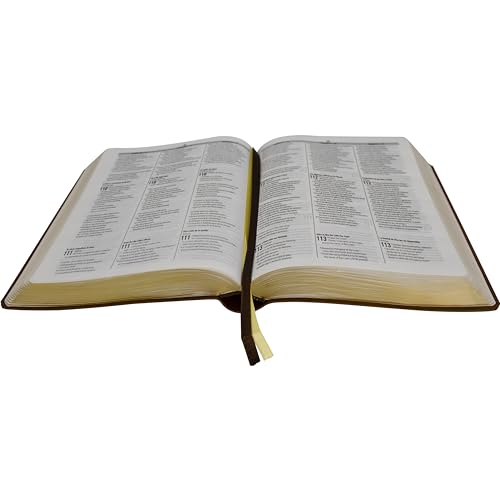 Biblia Trilíngue Portugus English Espaol NAA ESV RVC Marrón Símil Piel (English and Spanish Edition)