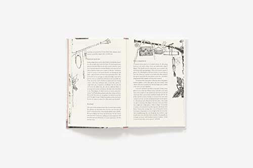 What Shall I Wear?: The What, Where, When, and How Much of Fashion, New Edition