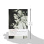 Danton's Death, Leonce and Lena, Woyzeck (Oxford World's Classics)