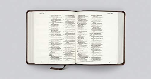 ESV Journaling Bible (Mocha, Threshold Design)