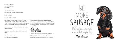 Be More Sausage: Lifelong lessons from a small but mighty dog