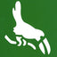 Fun With Birds Stencils (Dover Little Activity Books: Animals)
