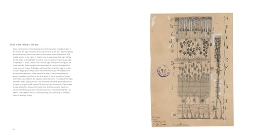 The Beautiful Brain: The Drawings of Santiago Ramon y Cajal
