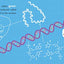Baby Biochemist: DNA: Discover the Amazing Science Behind Your Body's Molecular Instructions! (Human Body Books, Science Gifts, Medical Books for Kids) (Baby University)