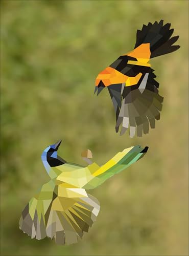 Paint by Sticker (Official): Birds: Create 12 Stunning Images One Sticker at a Time!