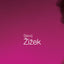 Slavoj Zizek (Routledge Critical Thinkers)