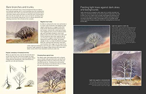 David Bellamy's Landscapes through the Seasons in Watercolour