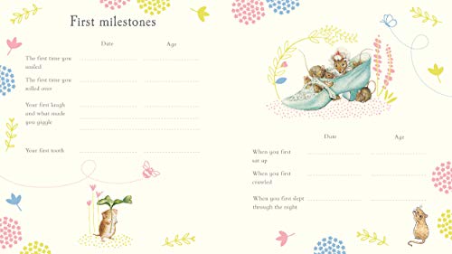 Peter Rabbit Baby Record Book