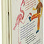 From Head to Toe Board Book by Eric Carle