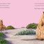 Hello, I'm a Quokka (Meet the Wild Things, Book 3)