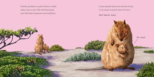 Hello, I'm a Quokka (Meet the Wild Things, Book 3)