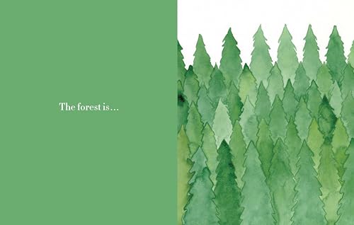 Forest — back cover
