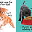 Puppies & Kitties - Touch and Feel Board Book - Sensory Board Book (Touch & Feel Sensory Board Books for Baby & Toddler Time)