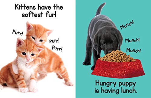 Puppies & Kitties - Touch and Feel Board Book - Sensory Board Book (Touch & Feel Sensory Board Books for Baby & Toddler Time)