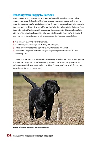 The American Kennel Club's Train Your Puppy Right (CompanionHouse Books) Welcoming Your New Pup, Socialization, House-Training, Puppy Lessons, Problem-Solving, Activities, and Sports