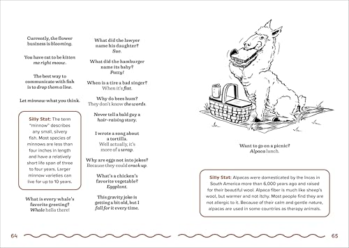 The Big Book of Silly Jokes for Kids 2: 800+ Jokes