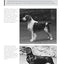 Solving the Mysteries of Breed Type (CompanionHouse Books) A Full Course in Purebred Dogs for Breeders, Dog Show Judges, and Dog Owners - Eliminate Confusion, Understand Silhouette, Movement, and More