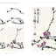 The Beginner's Guide to Chinese Painting: Plum, Orchid, Bamboo and Chrysanthemum