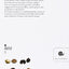 Discovering the Truffle: In History, in Its Habitat, in the Kitchen (Slow Manuals)