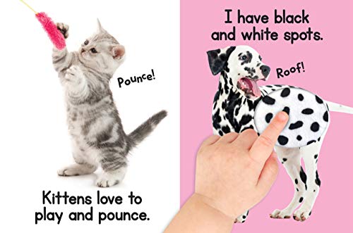 Puppies & Kitties - Touch and Feel Board Book - Sensory Board Book (Touch & Feel Sensory Board Books for Baby & Toddler Time)