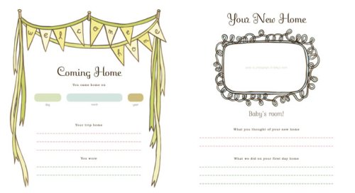 My Family, My Journey: A Baby Book for Adoptive Families (Susie Ghahremani)