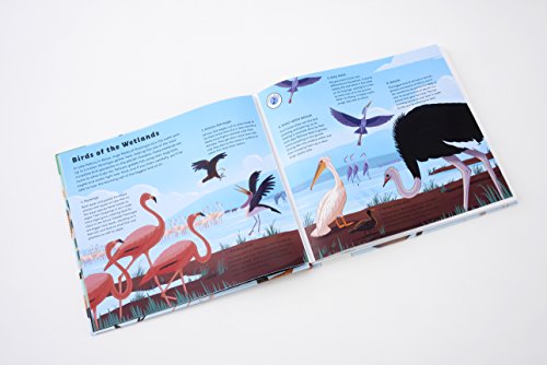 Sounds of Nature: World of Birds