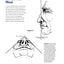 Carving the Human Face, Second Edition, Revised & Expanded: Capturing Character and Expression in Wood (Fox Chapel Publishing) Step-by-Step Tips & Techniques for Woodcarving Realistic Facial Features